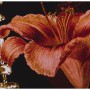 Cadre Alexandra House Living Bois Fleurs Femme 100 x 4 x 140 cm