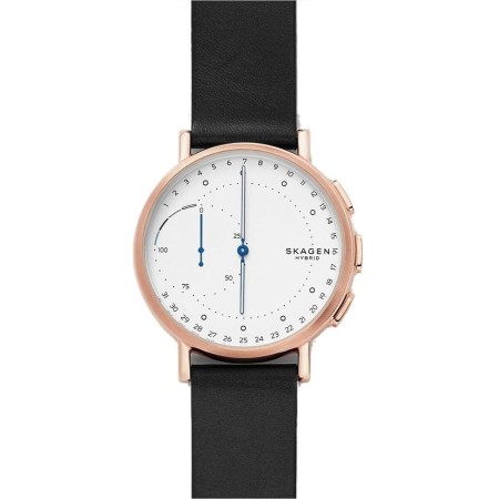 Montre Homme Skagen SIGNATUR