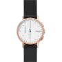 Montre Homme Skagen SIGNATUR