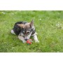 Jouet pour chien Kerbl Rouge Vert Caoutchouc