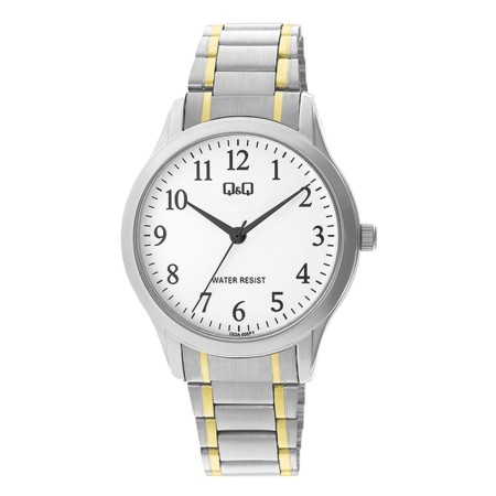 Montre Homme Q&Q C02A-005PY