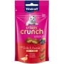 Snack para Gatos Vitakraft CRISPY CRUNCH 60 g