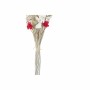 Branche DKD Home Decor 8424001847464 Fleurs Rouge Turquoise Blanc Fleur séchée (40 x 40 x 150 cm) (2 Unités)