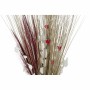 Branche DKD Home Decor 8424001847471 Fleurs Naturel Rouge Marron Fleur séchée (40 x 40 x 150 cm) (2 Unités)