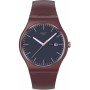 Reloj Hombre Swatch SO29R707