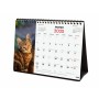 Calendario de Sobremesa Finocam GATITOS ENTRAÑABLES Multicolor Papel 21 x 15 cm 2025