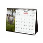 Calendario de Sobremesa Finocam PERROS Y GATOS Multicolor Papel 21 x 15 cm 2025