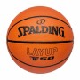 Ballon de basket Spalding Layup TF-50 Multicouleur 7