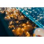 Guirnalda de Luces LED Twinkly CLUSTER Navidad Negro 6 m