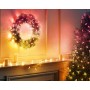 Guirlande lumineuse LED Twinkly TWKC100RGB-G Noël 10 W Multicouleur