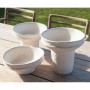 Vase Alexandra House Living Blanc Ciment 26 x 24 x 26 cm