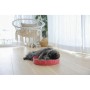 Grattoir pour Chats Kerbl                 Rose Bronze Carton