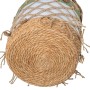 Juego de Cestos Alexandra House Living 03788 Blanco Verde Mimbre Ratán Fibra natural (3 Unidades)