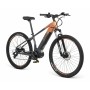 Bicicleta Eléctrica Youin KILIMANJARO2 29 MTB 250 W 29"