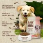 Pienso VETEXPERT Raw Paleo Healthy Grain Puppy Salmon y cebada Salmón 2 Kg