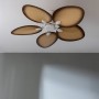 Ventilador de Techo Cecotec EnergySilence Aero 5200 Palm 35 W Ø132 cm Rosa claro