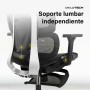 Silla de Oficina Owlotech Negro