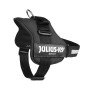 Arnés para Perro Julius K9 Power Negro L/XL 2