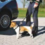 Harnais pour Chien Trixie Noir XS Voiture