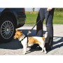 Harnais pour Chien Trixie Noir XS Voiture