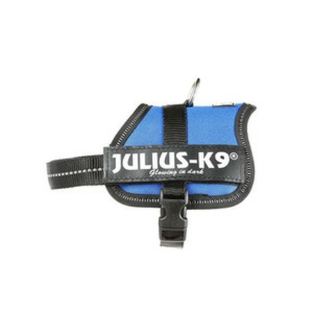 Harnais pour Chien Julius K9 Power Bleu 2 Baby 2 (XS/S)