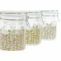 Boîte DKD Home Decor Verre Fer Fleurs Shabby Chic (10 x 13 x 14 cm) (3 pcs) (720 ml)