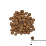 Nourriture VETEXPERT                 Saumon 10 kg