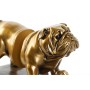 porte-livre DKD Home Decor ‎ Bulldog Résine Chien (11 x 12 x 14 cm) (11 x 12 x 15 cm) (11 cm) (2 pcs)