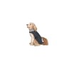 Imperméable pour Chien Dog Gone Smart Noir 45 cm