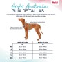 Harnais pour Chien Company of Animals Turquoise XL 50-78 cm