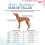 Harnais pour Chien Company of Animals Vert XL 50-78 cm