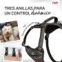 Harnais pour Chien Company of Animals Gris XS 20-32 cm