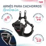 Harnais pour Chien Company of Animals Gris XXS 22-30 cm