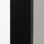 Espejo de pared Negro Vertical 75 x 183 x 4,5 cm