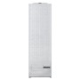 Réfrigérateur Hisense RL3B303SAWE Blanc