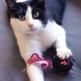 Jouet pour chats Minnie Mouse