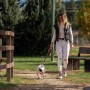 Laisse pour Chien DC Pets