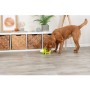 Jouet pour chien Trixie Cochon
