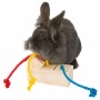 Juguete Dispensador de Premios para Mascotas 2 en 1 Trixie 16 × 6 × 7 CM