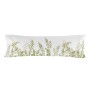 Taie d'oreiller HappyFriday HAPPYFRIDAY Multicouleur 15 x 1 x 38 cm