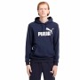 Sweat à capuche homme Puma Essentials Big Logo