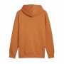 Sweat à capuche homme Puma Essentials Big Logo Hoodie Fl