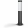 Lámpara Philips Luminarias de exterior Antracita E27 230 V 2700 K