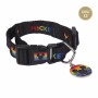 Collier pour Chien Disney