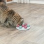 Tapis de Jeux et Récompenses pour Animaux de Compagnie Trixie
