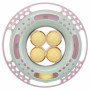 Jouet pour chats Trixie Plastique Ø 24 cm