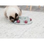 Jouet pour chats Trixie Plastique Ø 28 cm