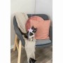 Jouet pour chats Trixie Polyester Tissu Peluche Bois