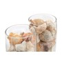 Vase DKD Home Decor Coquillages Verre (10 x 10 x 23 cm) (2 Unités)