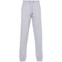Pantalón Largo Deportivo The North Face NF0A4SVQDYX1 Gris Hombre